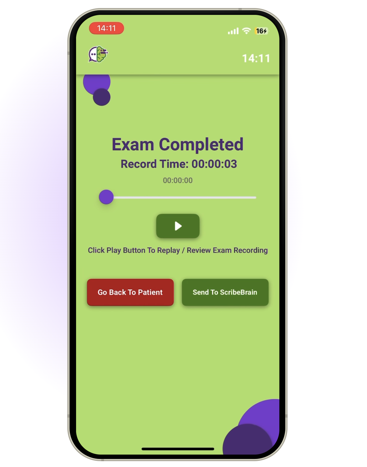 ScribeBrain interface 2